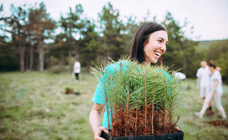 Person planting trees